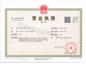 公司營業執照
